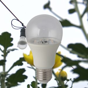 Đèn LED hoa cúc 6W rạng đông LED HC A606W WR