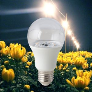 Đèn LED hoa cúc 9W Rạng đông LED HC A609W 3000K