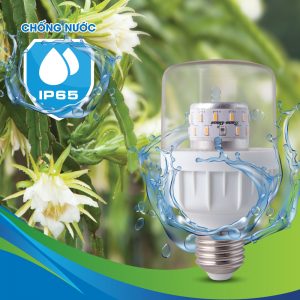 Đèn LED thanh long 9W Rạng đông LED.TL-T60 WFR9W