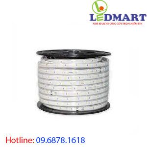 Đèn led dây 1 hàng led rạng đông LD01 10007W