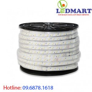 Đèn led dây đổi màu rạng đông LD01 ĐM 10009W Đèn led dây đổi màu rạng đông LD01 ĐM 10009W