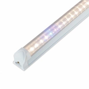 Đèn trồng rau, hoa lan rạng đông LED NCM 12025W WBU